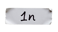 1n
